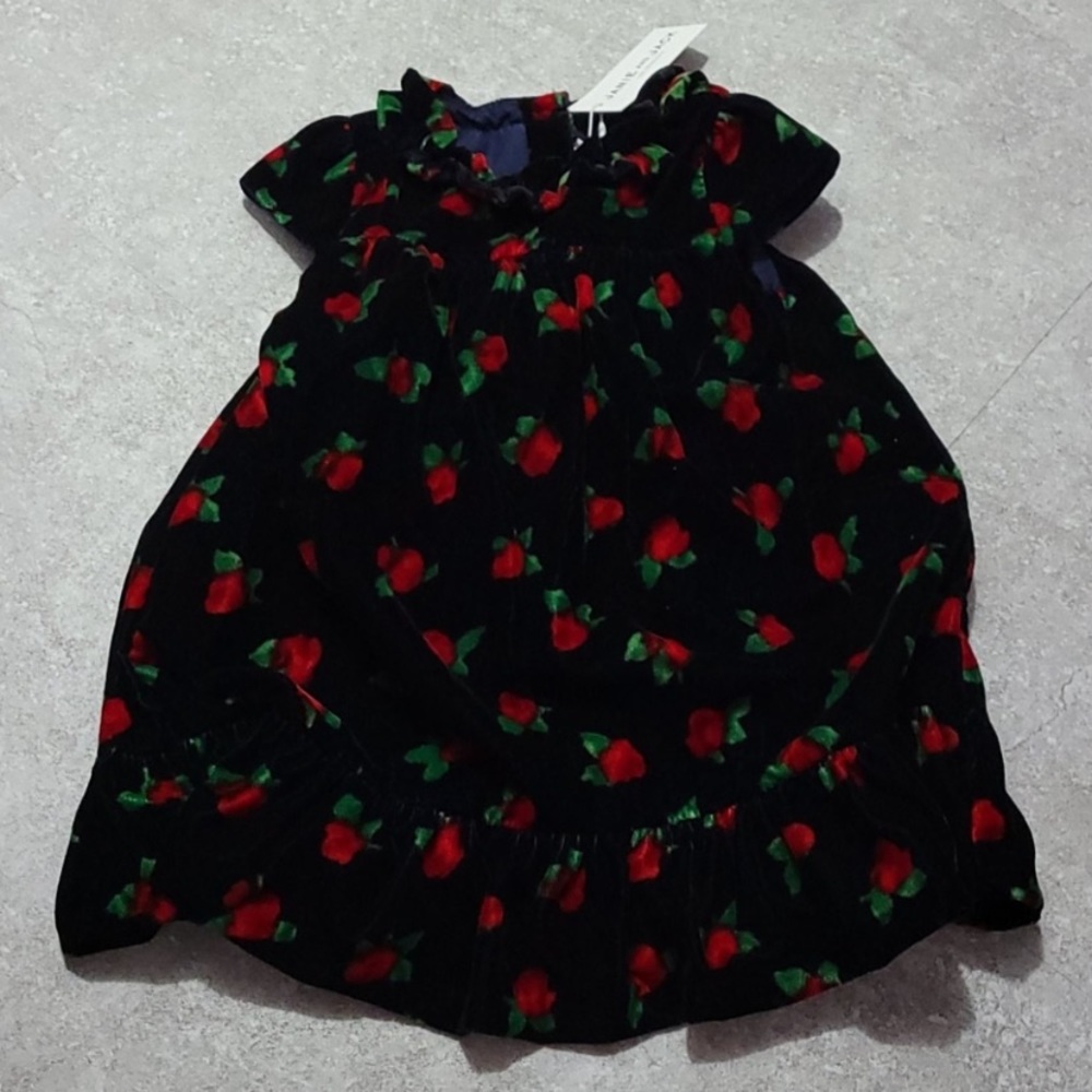 Janie and Jack velvet floral dress